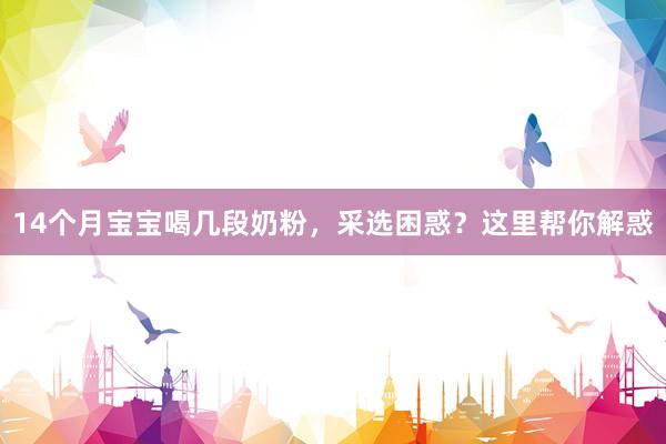 14个月宝宝喝几段奶粉，采选困惑？这里帮你解惑